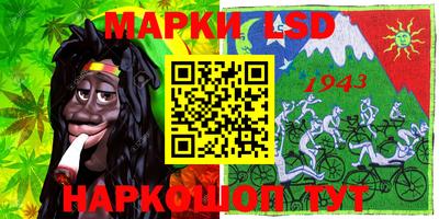 Альфа ПВП Кандалакша