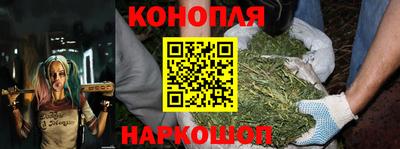 Альфа ПВП Кандалакша