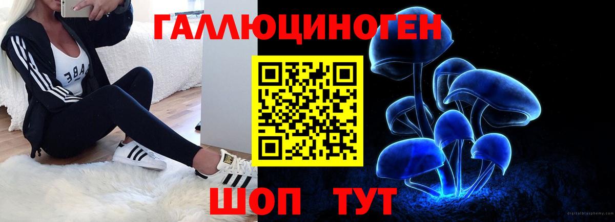 Галлюциногенные грибы мицелий  Псилоцибиновые грибы GOLDEN TEACHER  Вход с VPN  Свободный 